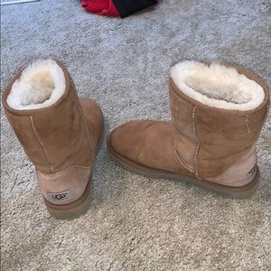 dark tan uggs